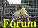 Forum