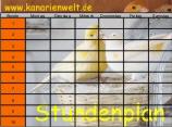 Stundenplan